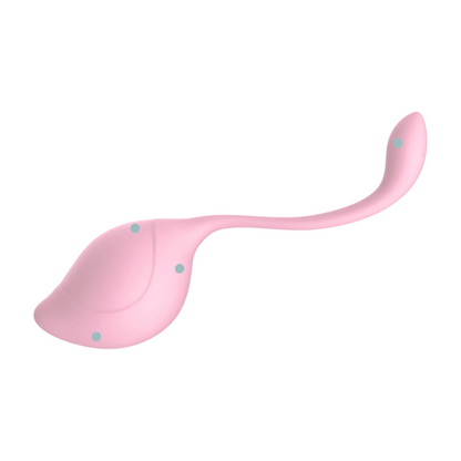 Pleasurez Kegel balls set for women, featuring five colorful silicone weights for pelvic floor exercises.